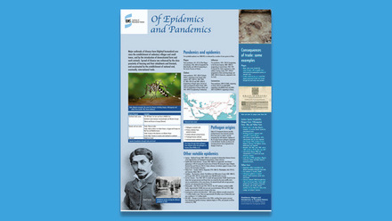 51400-ibms22-history-poster-01.jpg