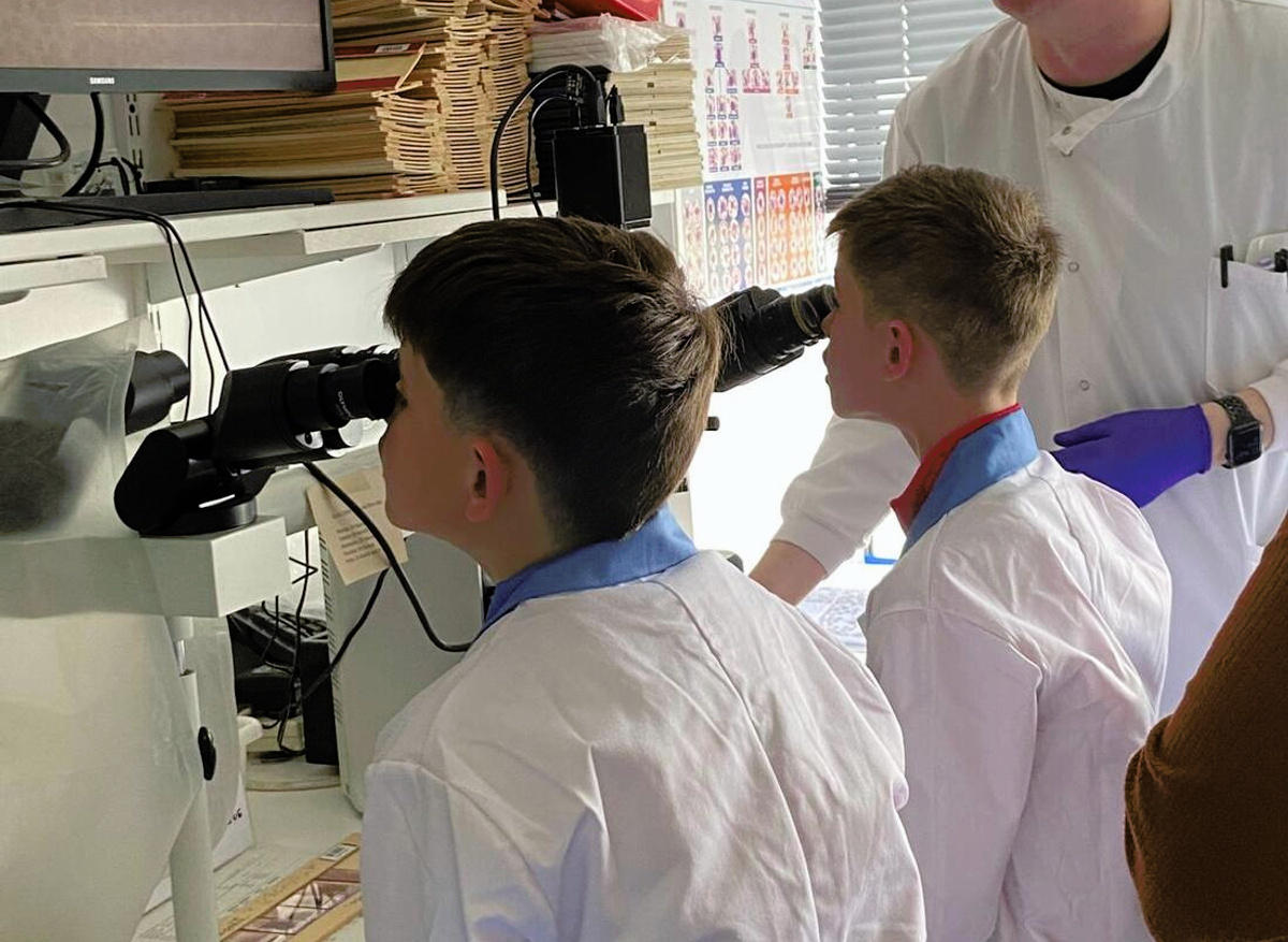 Looking under the microscope