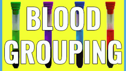 blood-group-web-image.jpg
