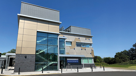 web_p44-47_Feature_Digital-Pahtology_Theoretical-Foundations-And-A-Dorset-Case-Study_CREDIT_Alexandra-Grainey_One-Dorset-Pathology.jpg