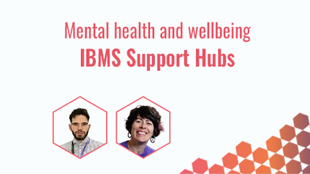 IBMS Support Hubs 4.png