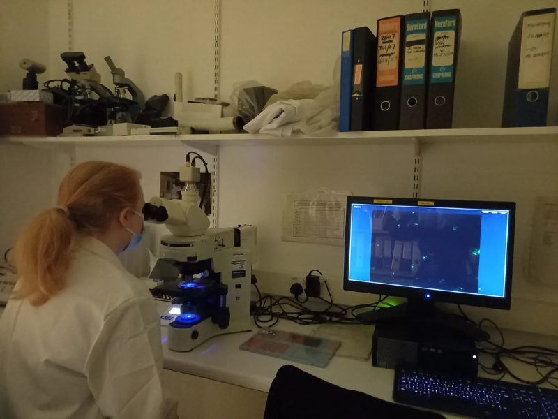 Lena Forsyth lab