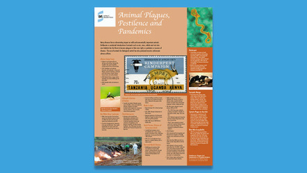 51400-ibms22-history-poster-04.jpg