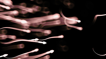 p34-36-retrograde-ejaculation-sperm-science-photo-f0267855.jpg