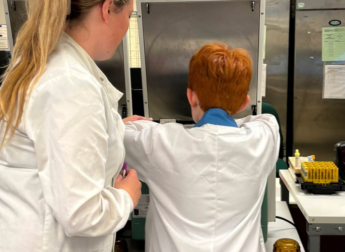 Learning how blood samples are spun