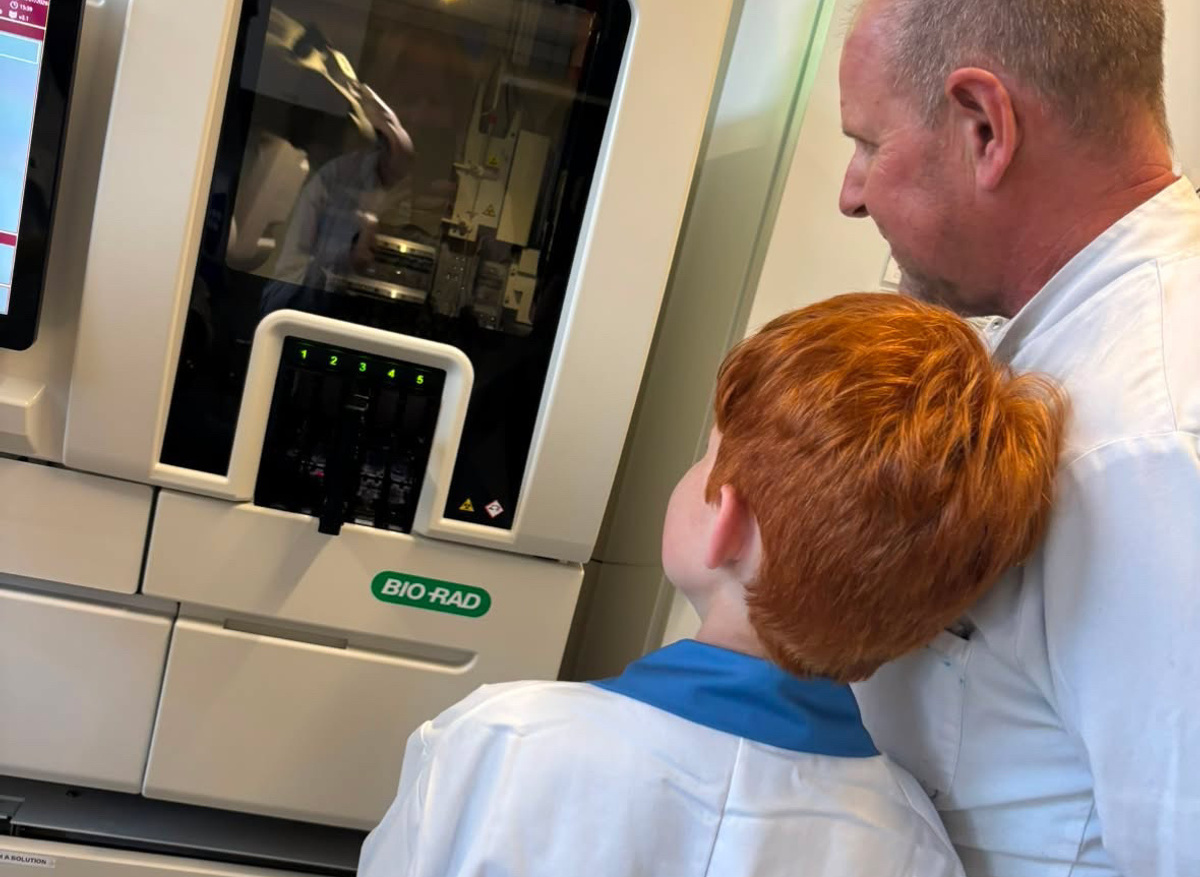 Seeing how samples are analysed
