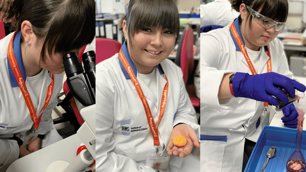 Natasha's Lab Tour 01.png