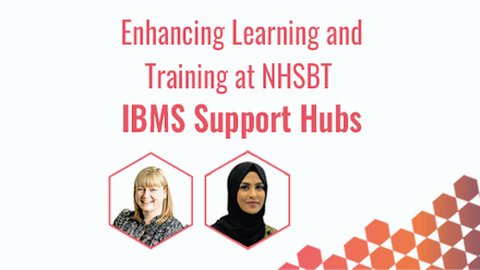 IBMS Support Hubs 2026 3 png.png