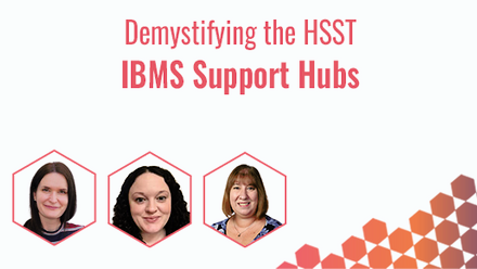 IBMS Support Hubs 4.png 1