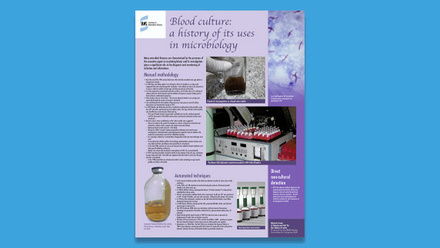 POster 4.jpg