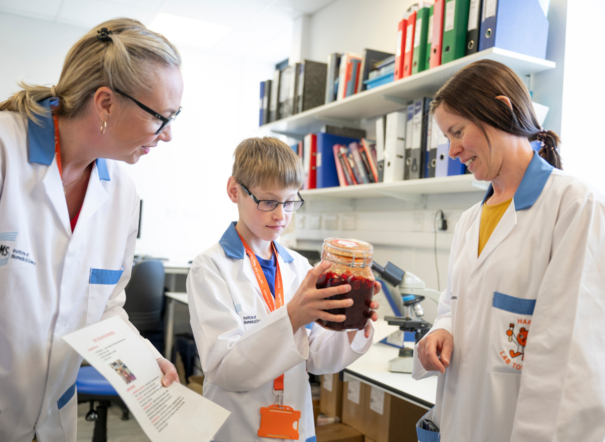 Examining a blood model