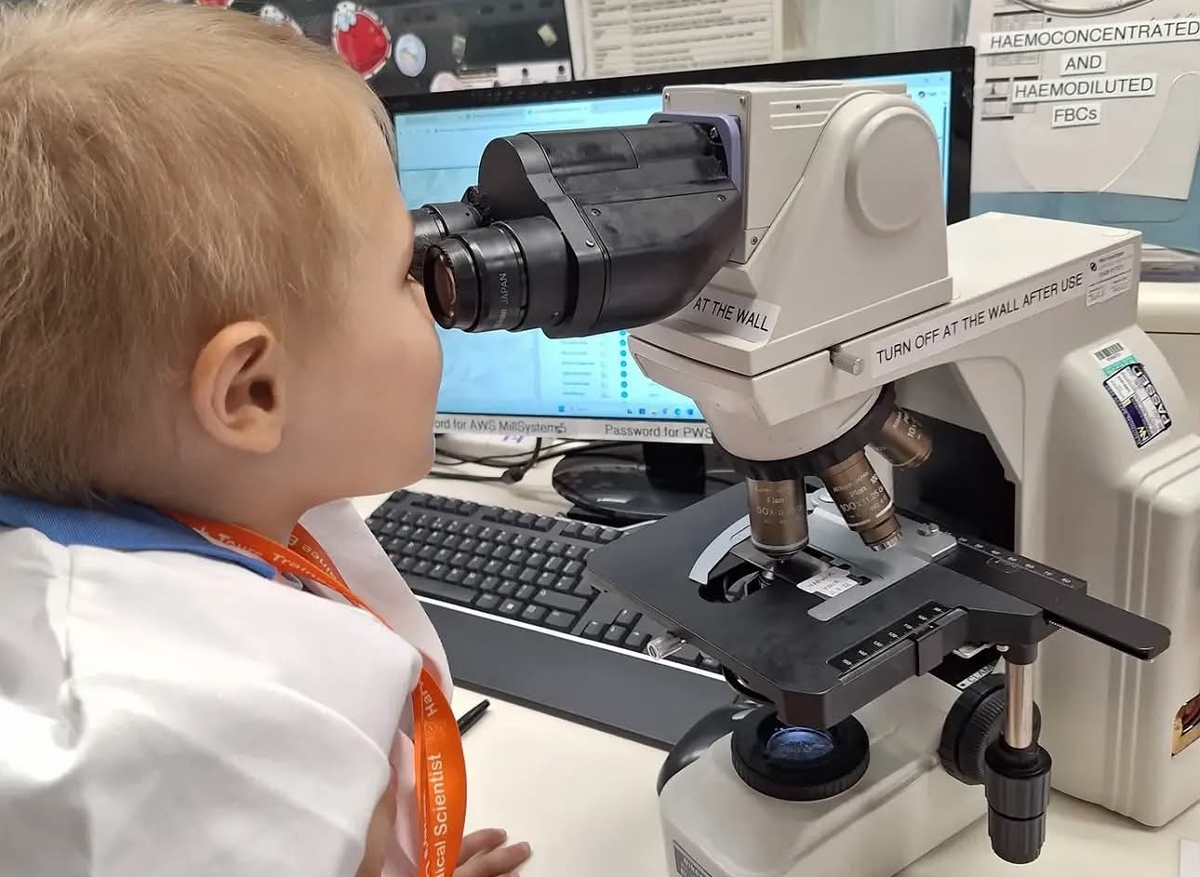 Examining blood cells under the microscope