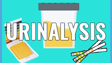 urinalysis-web-image.jpg