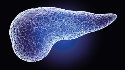 web-p29-31-pancreas-markers-hologram-pancreas-shutterstock-1638621178.jpg