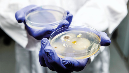 web_p32-33_under-the-microscope_microbiology-and-infection_penicillium-and-bacteria_credit_science-photo-library-c0248550.jpg