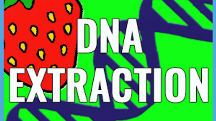 dna-extraction-web-image.jpg