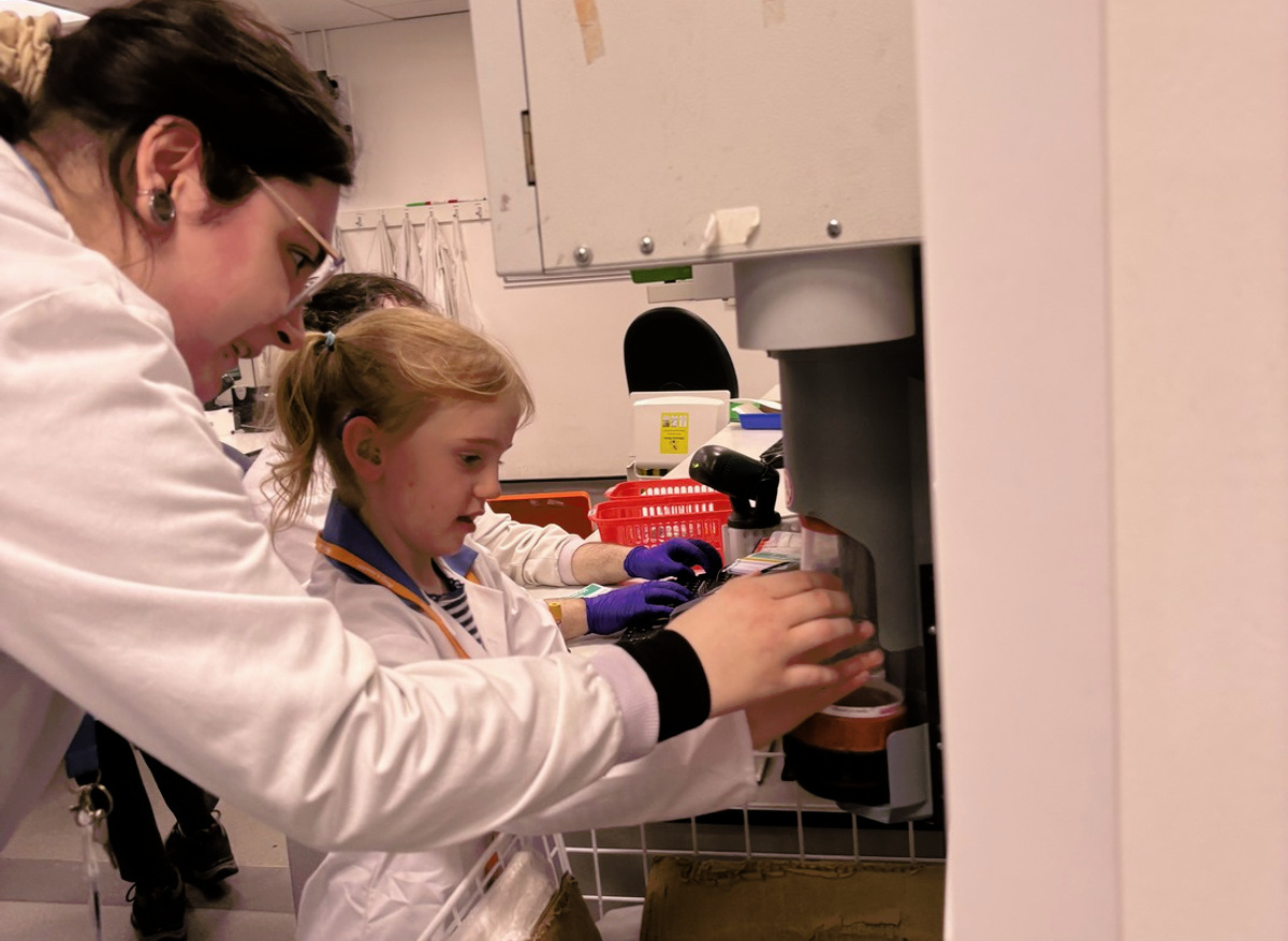 Loading the analyser