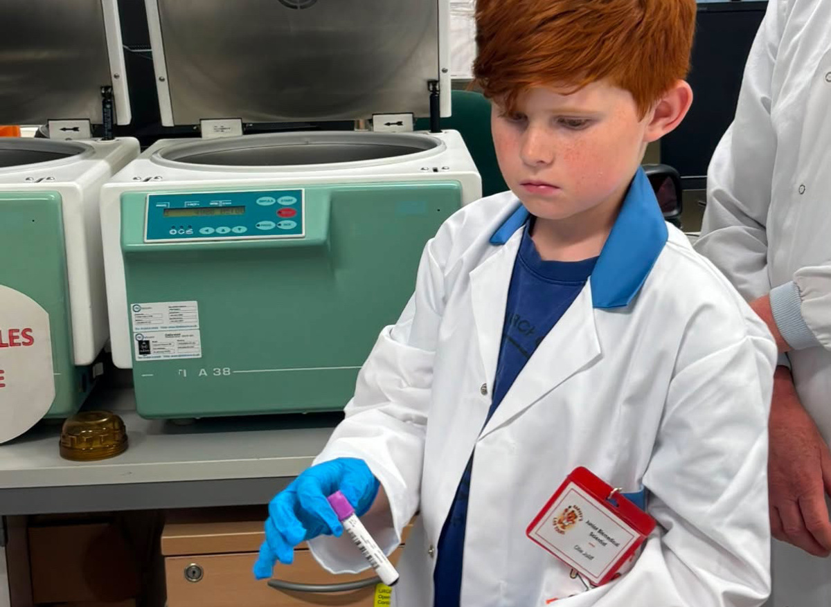 Learning how blood samples are prepared for testing