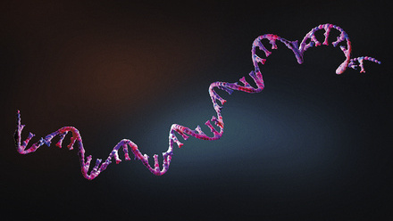 web_p34-35_An-electrophoresis-case-study_CREDIT_Shutterstock-2079361921.jpg