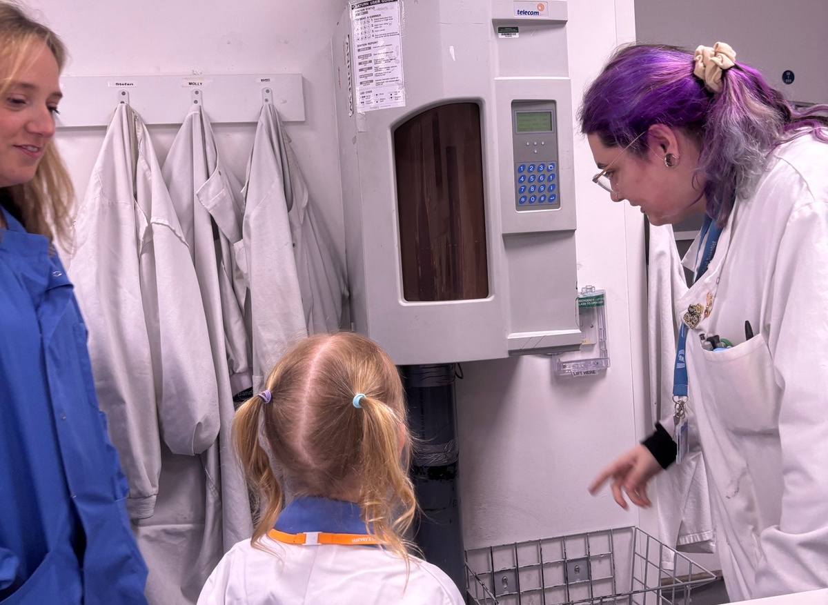 Watching samples arrive