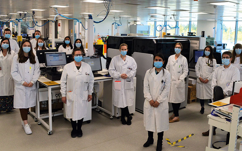 web-p50-my-lab.jpg
